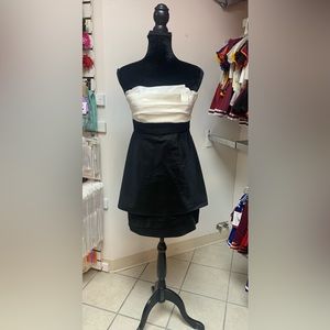 Size 2 BCBG MaxAzria Black & White Little Black Dress Cocktail Party Dress